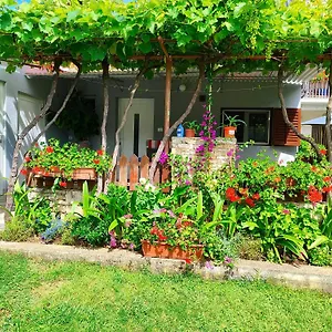 https://apartments-pavao-1402.in-istria.net